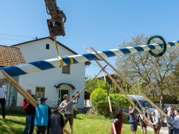 Maibaum26