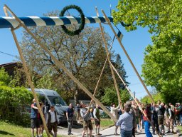 Maibaum26