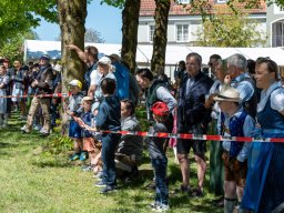 Maibaum26