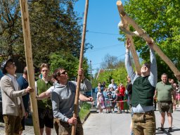 Maibaum26