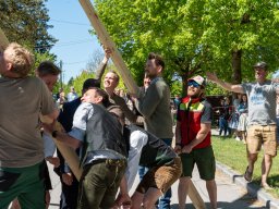 Maibaum26