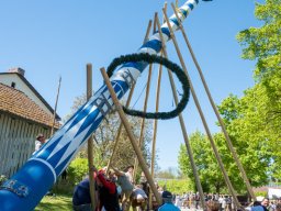 Maibaum26